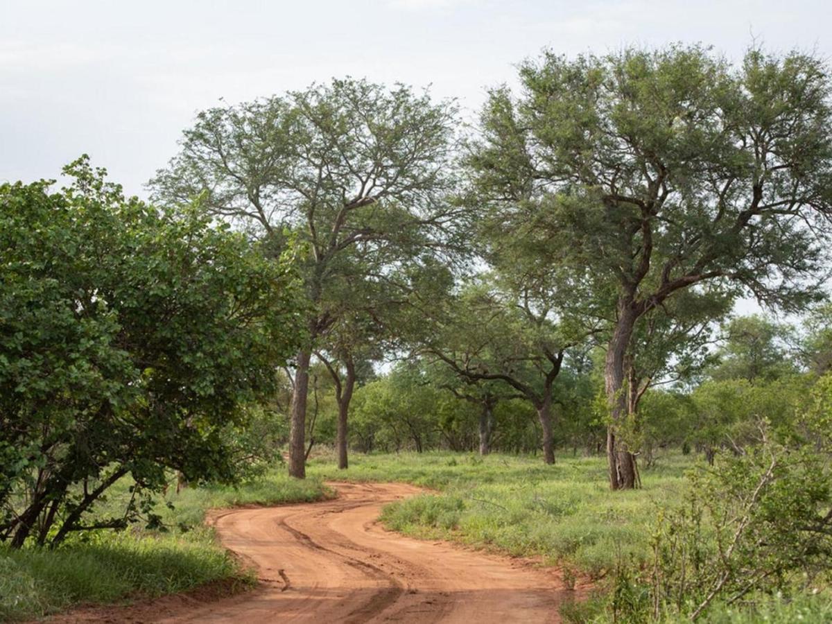 Ujabule Lodge Hoedspruit Eksteriør billede
